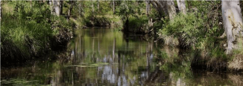 Bromley Country Water Quality Workshop