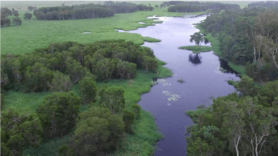 Mungalla Wetlands